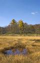 3519_21-10-2008-oze-gahara-marshland-oze-nationalpark-katashina-mura-autumn-japan-17_4423x6886