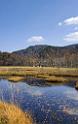 3522_21-10-2008-oze-gahara-marshland-oze-nationalpark-katashina-mura-autumn-japan-20_4407x6995