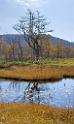 3525_21-10-2008-oze-gahara-marshland-oze-nationalpark-katashina-mura-autumn-japan-23_4361x7314