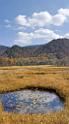 3530_21-10-2008-oze-gahara-marshland-oze-nationalpark-katashina-mura-autumn-japan-28_4370x7902