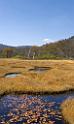 3532_21-10-2008-oze-gahara-marshland-oze-nationalpark-katashina-mura-autumn-japan-30_4373x7311