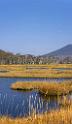 3537_21-10-2008-oze-gahara-marshland-oze-nationalpark-katashina-mura-autumn-japan-35_4096x7027