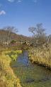 3540_21-10-2008-oze-gahara-marshland-oze-nationalpark-katashina-mura-autumn-japan-38_4359x7454