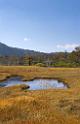 3545_21-10-2008-oze-gahara-marshland-oze-nationalpark-katashina-mura-autumn-japan-43_4292x6658