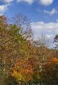 3547_21-10-2008-oze-gahara-marshland-oze-nationalpark-katashina-mura-autumn-japan-46_4152x6123