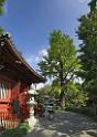 3435_20-10-2008-asakusa-sensoji-temple-hozomon-central-tokyo-japan-21_4210x5910