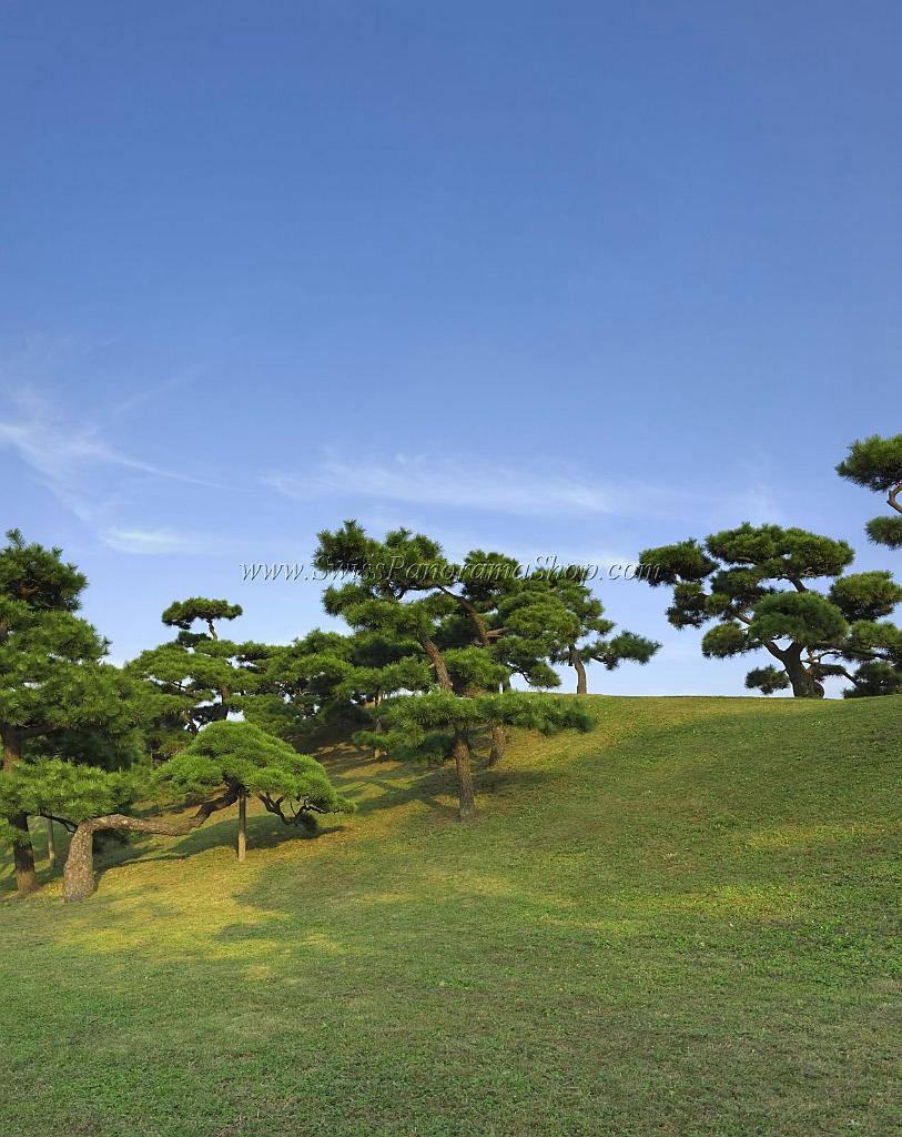 3488_20-10-2008-hamarikyu-garden-park-waterfront-central-tokyo-japan-42_4357x5481.jpg