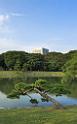 3486_20-10-2008-hamarikyu-garden-park-waterfront-central-tokyo-japan-40_4220x6785