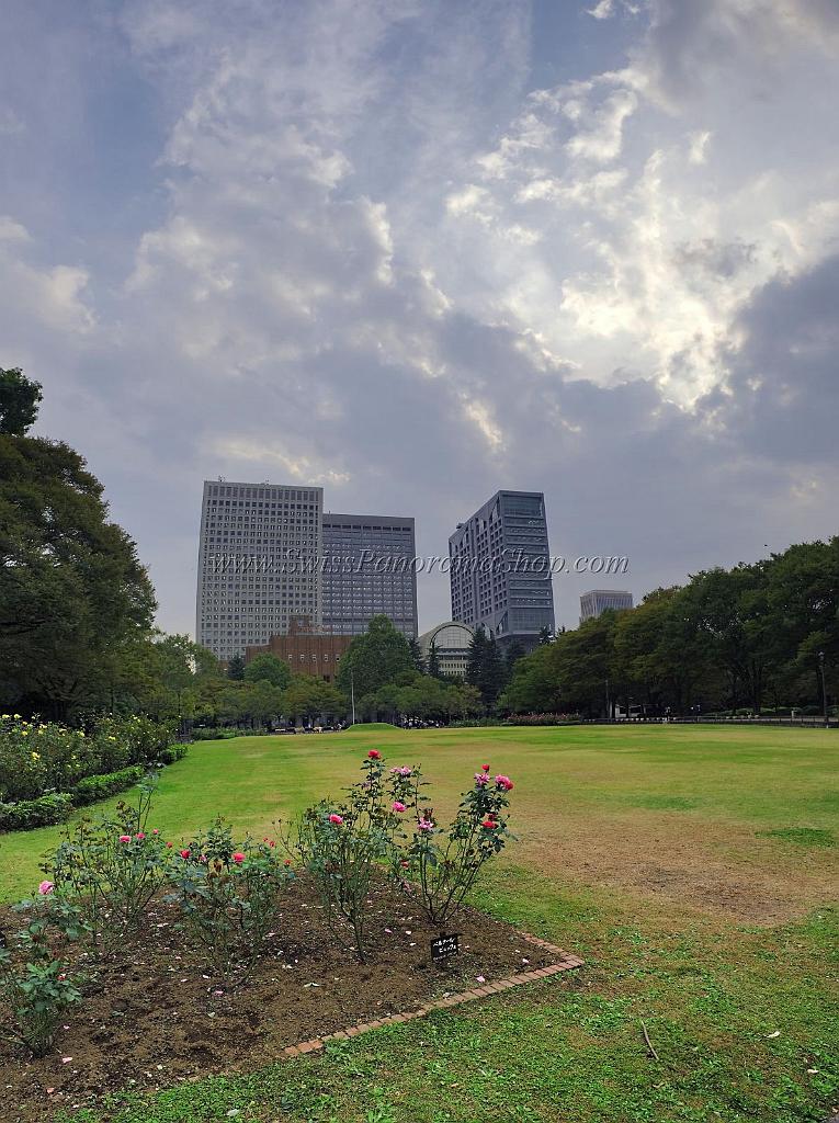 3303_17-10-2008-hibiya-park-tokyo-city-down-town-capital-city-japan-8_4433x5935.jpg