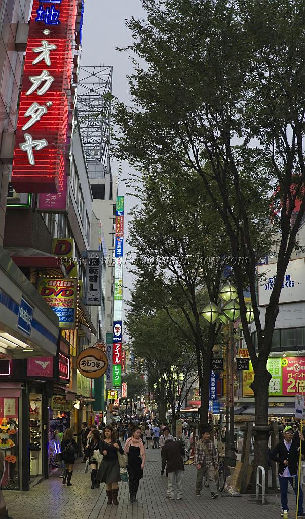 3575_22-10-2008-shinjuku-by-night-down-town-tokyo-japan-6_4164x7082.jpg