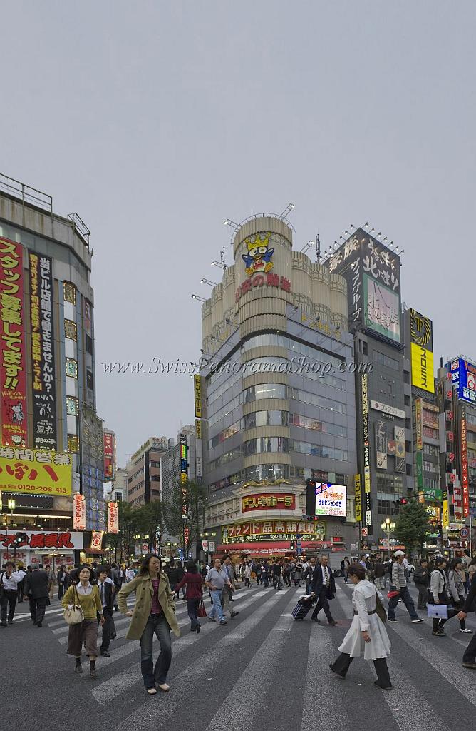 3576_22-10-2008-shinjuku-by-night-down-town-tokyo-japan-7_4503x6899.jpg