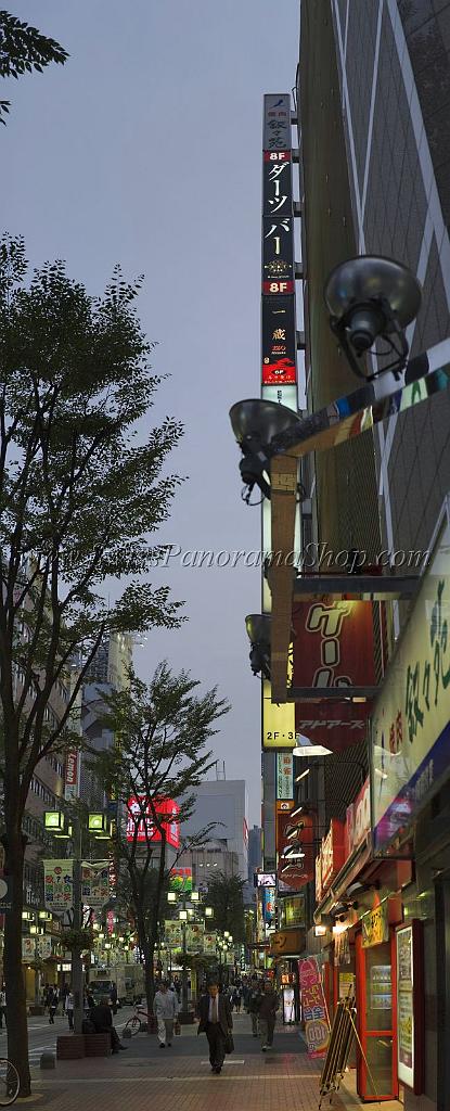 3587_22-10-2008-shinjuku-by-night-down-town-tokyo-japan-18_3925x9681.jpg