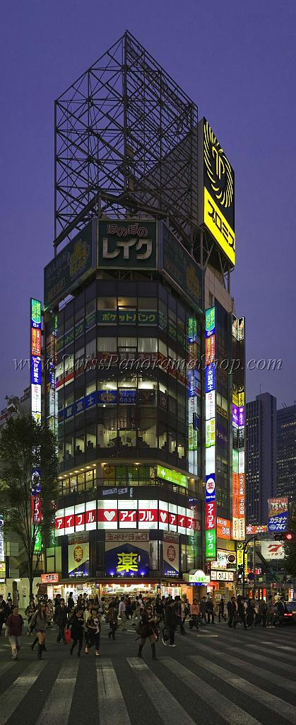 3602_22-10-2008-shinjuku-by-night-down-town-tokyo-japan-33_3818x9322.jpg