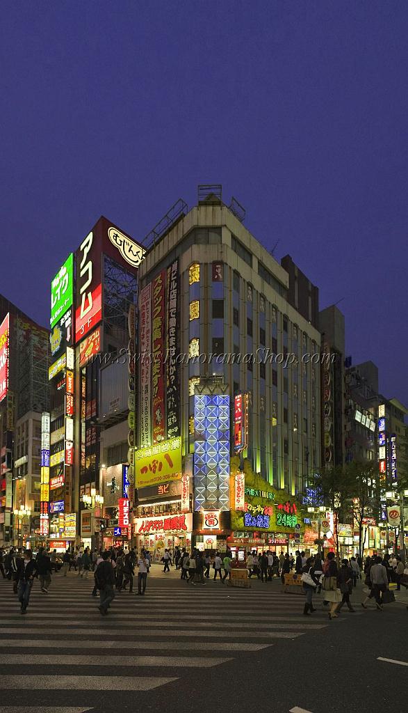 3606_22-10-2008-shinjuku-by-night-down-town-tokyo-japan-37_4128x7197.jpg