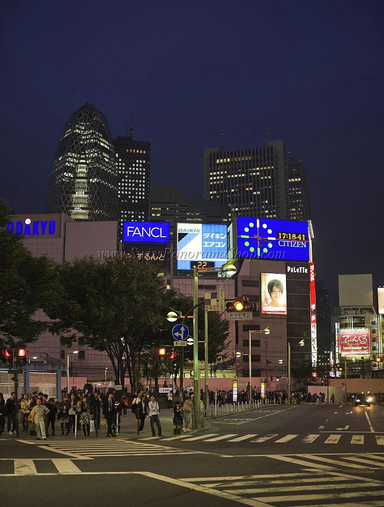 3610_22-10-2008-shinjuku-by-night-down-town-tokyo-japan-41_4050x5343.jpg